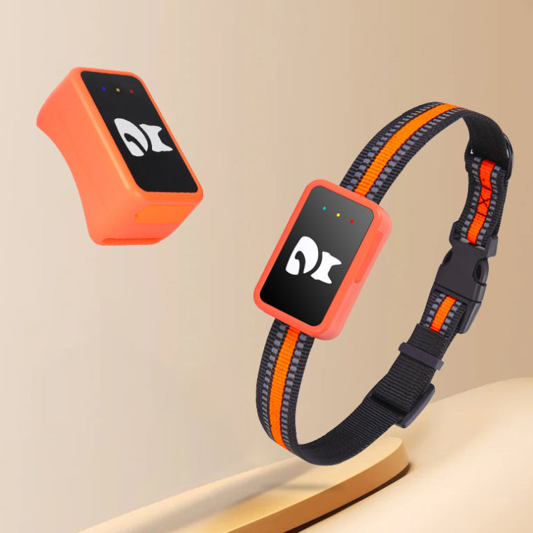 Smart GPS Pet Collar - WiFi App Control for Cats and Dogs